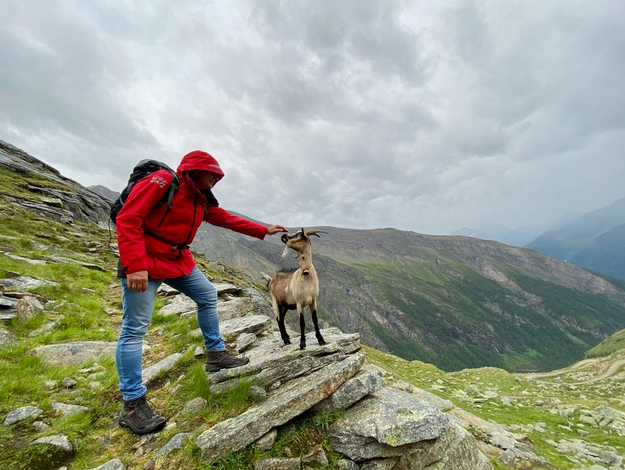 Fun Reasons to Climb Mountains